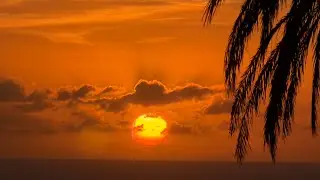 O‘ahu, Hawaii | Dec 2025