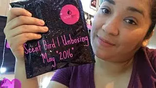 Scent Bird | Perfume Unboxing + Review &hearts;