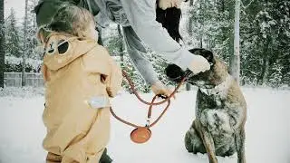 Kuma Outdoor Gear Pet Gear