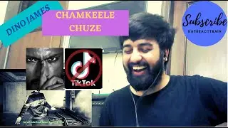 CHAMKEELE CHUZE - DINO JAMES REACTION | Girish Nakod | TIK-TOK DISS | #KatReactTrain | BLUISH MUSIC