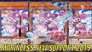 [NEW] MARINCESS FROG DECK 7/2019 | New support | MARINCESS PASCALUS
