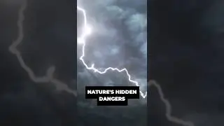 ⚠️ Nature's hidden dangers 🤯 5 warning signs to stay safe. #shorts #buzzbee #scary