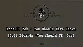 Anthill Mob - You Should Have Known (Todd Edwards 'You Should UK' Dub)