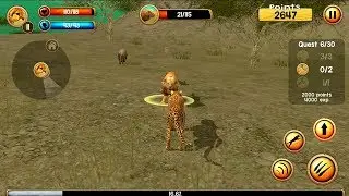 Wild Cheetah Sim 3D Android Gameplay #1