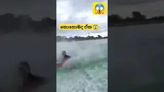 Shorts, #shorts,#sinhala, #respect srespect,respect video,respect shorts