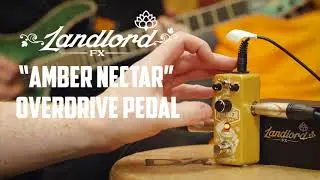 LANDLORD FX 