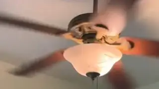 (Sent by my dad's guest) ceiling fan sightings at Belize city