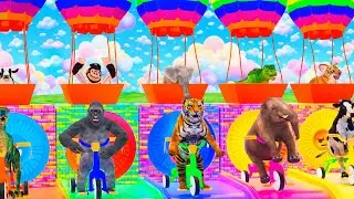 Long Slide Game with Cow Elephant Gorilla Hippopotamus Dinosaur Tiger 3d Animal Game Funny 3d Animal