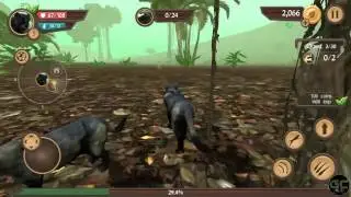 Wild Panther Sim 3D - Android Gameplay HD