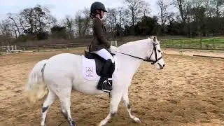 Roberta (Bobby) Bennett and Llanarth Gigi - Introductory 2 2024