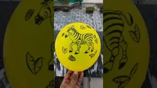 💛 Zebra Balloon vs Orange Balloon 💥💧  Satisfying Water Drop Test! 🎈 #shorts
