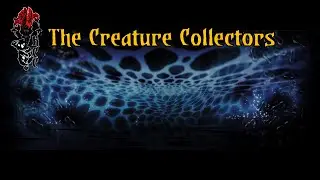 Darkest Dungeon: The Creature Collectors