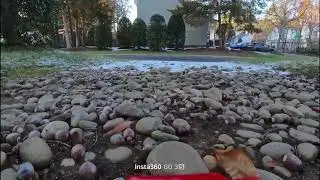 POV Mini RC Truck Snow Run ❄️ | On-Board Insta360 GO 3S Frozen Neighborhood Trail#rcpov#minirctruck 