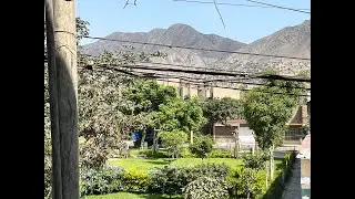En vivo conversamos sobre el  calor y verdor en Lima 🌊🌳