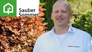 Sauber Sommer Fassadenreinigung: Imagefilm