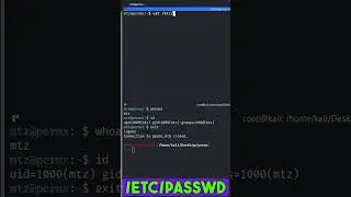 Walkthrough Di Una Macchina Facile di Hack The Box - Privilege Escalation Estratto 2/2