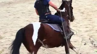 Tess en entraînement aux Écuries Brionne lors du stage des vacances de la Toussaint octobre 2015