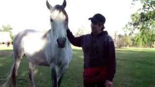 BUDDY'S STORY on the Ussery Farm Part 1