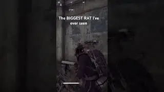 The biggest RAT I've met on ARC RAIDERS #shorts #arcraiders #ArcRaidersClips #ArcRaidersGameplay