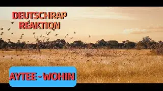 ICH reagiere auf AYTEE - WOHIN