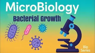 MicroBiology l Lecture 2 l Bacterial Growth اولى بشري 
