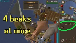 Lantern Harpooning Guide: Chum Spreader = multiple Squid Beaks (Ironman Rosewood Blowpipe) OSRS