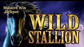 Wild Stallion - An Unforgettable Classic slots  Aussie pokies Massive Win Jackpot (Rewind) 