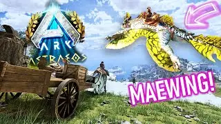 Ochočili jsme NOV&Eacute;HO MAEWINGA!  | ARK Astraeos Ep.2 (Maeguana Taming) | w/ @TenBezRuky