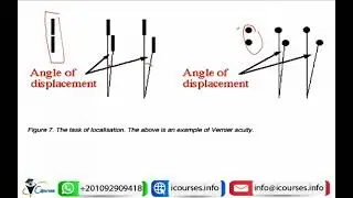 Visual acuity phys