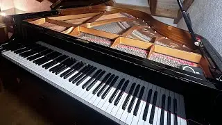 Benedikt Waldheuer - LIVE PIANO JAM SESSION (EDM Mix)