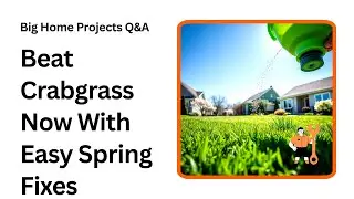 Stop Crabgrass Fast with These Spring Lawn Hacks