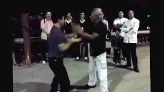 Wong Long Wing Chun (Ip Man Lineage)
