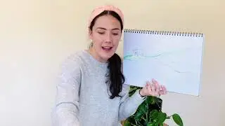 Early Learning Virtual Classroom: Wombat Burrow