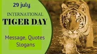 International Tiger day | International Tiger day status | World tiger day | Global Tiger day |