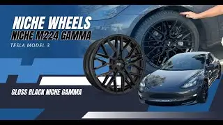 Tesla Model 3 | Niche M224 Gamma Wheels 19x8.5 | Gloss Black | Tires and Wheels Direct