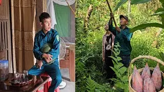 Love Story: Happiness when harvesting bananas together to sell at the market - gardening