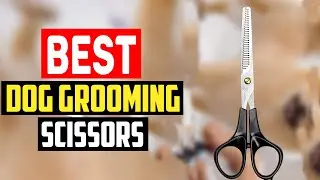 ✅ Top 5 Best Dog Grooming Scissors in 2025