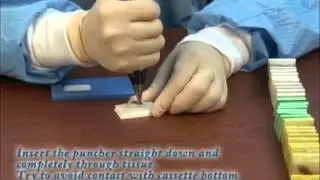 Manual Tissue MicroArrayer