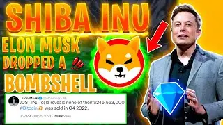 SHIB JUST FLIPPED! ELON MUSK AND TESLA ARE BACK AT IT AGAIN! BREAKING SHIBA INU NEWS!