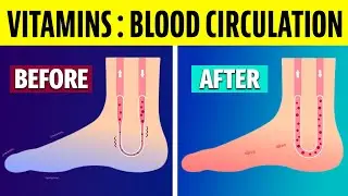 10 Vitamins to Improve Circulation in Legs and Feet, Especially After Age 45
