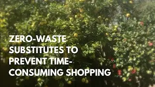 Protect the Parks: Zero-Waste Substitutes to Prevent Shopping