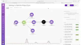 NetSuite Integrations in monday with Axanexa