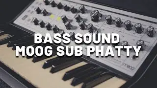 Bass Sound with Moog Sub Phatty (No Talking) | Deep Analog Mono Synth