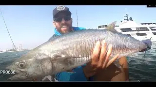 Almost Lost that Precious King after tough sea conditions...Many Surprises.. Flying Gaffs..Okuma
