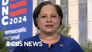 Rep. McClellan makes case for Kamala Harris as DNC begins
