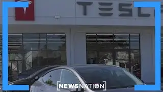 Tesla ordered by Florida jury to pay $243M in fatal Autopilot crash | NewsNation Now