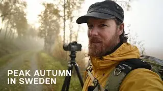 Peak AUTUMN Landscape Photography | Wildlife and Landscape Photography