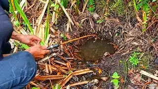 PEMANCING IKAN LEMBAT | MANCING IKAN LEMBAT DAPAT BESAR DI LUBANG MISTERIUS | fishing 2025