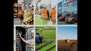 Helping NZ SMEs Grow | CATO - Real Consultants, Real Results