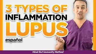 [3 Types of Inflammation] Lupus, Autoimmune SLE Rheumatologist Doctor Explains Chemical Pathways